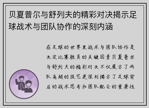 贝夏普尔与舒列夫的精彩对决揭示足球战术与团队协作的深刻内涵